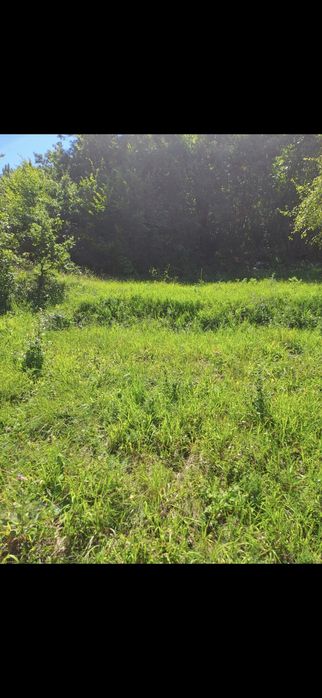 Дворно място в с. Ново Бърдо