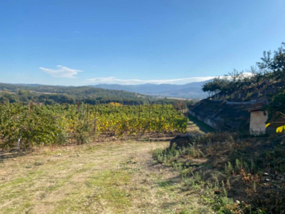 ПАРЦЕЛ 7,2 дка, село Бегунци