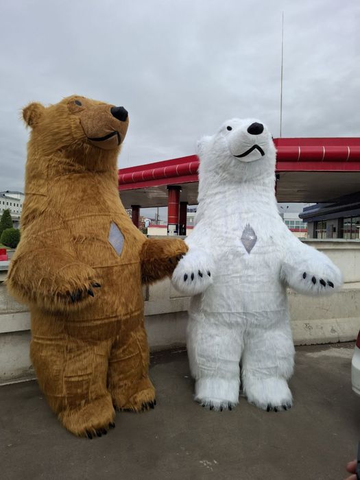 Ayiqlar sotiladi | Ayiq sotiladi | Продажа костюмов | Продаются медвед