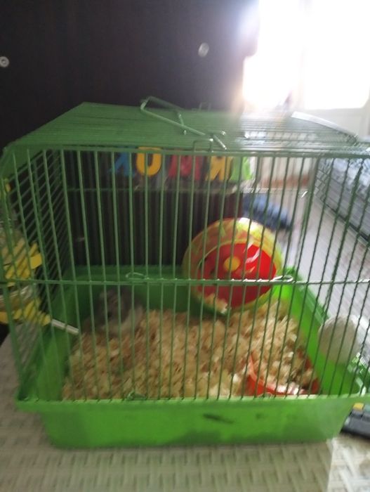 Продам клетку для хомяка с кормом и опилкой