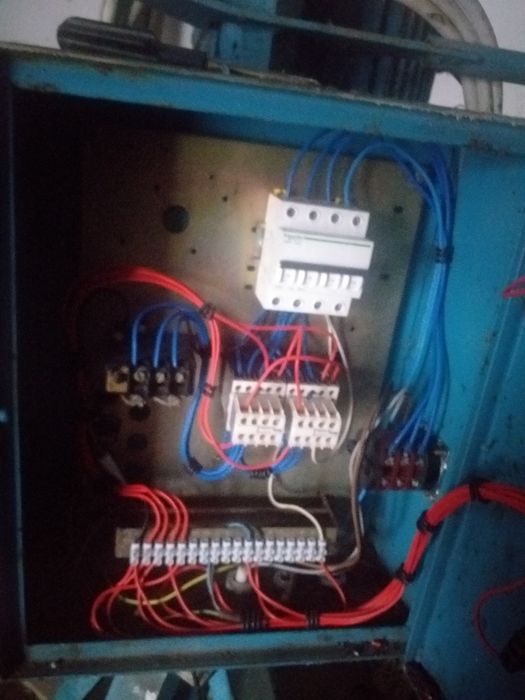 Electropalan,electromacara gen girafa
