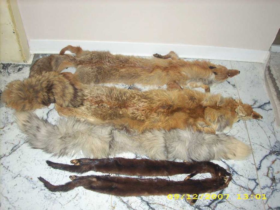 Естествени кожи в отлично състояние