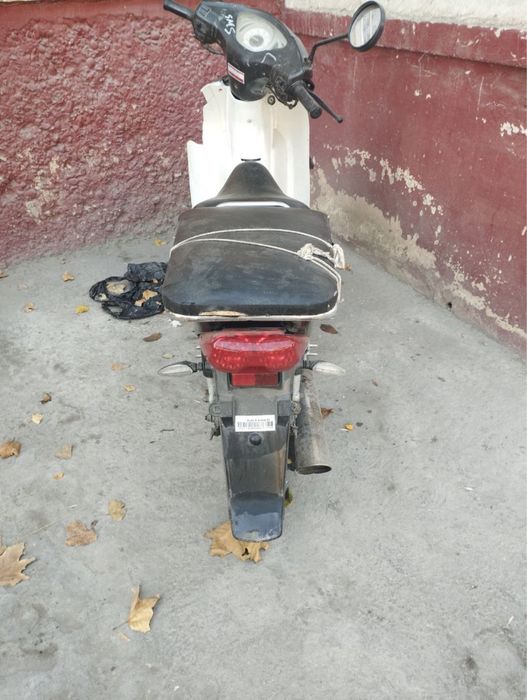 Daeelim orginal moto