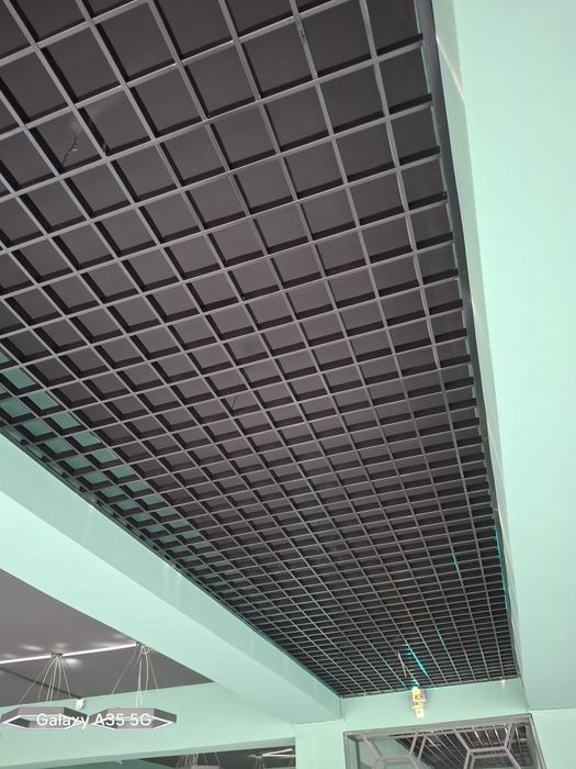 Potolok, Armstrong, Grilyato, Rechniy