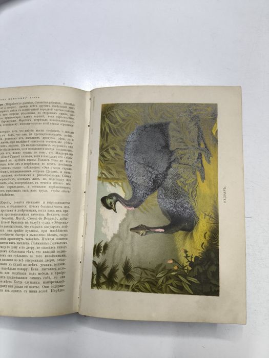 Антиквариатная книга