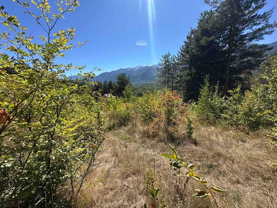 Парцел 970 кв.м. с уникална гледка във вилна зона Бойков рид, Разлог