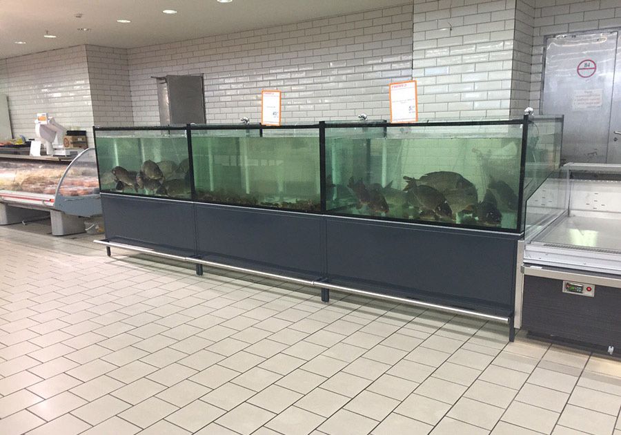 Аренда аквариумов для рыбы