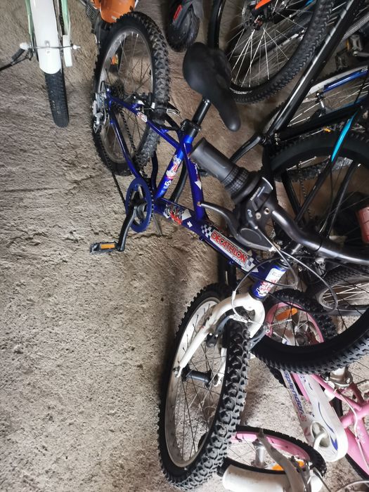 Biciclete diferite mari