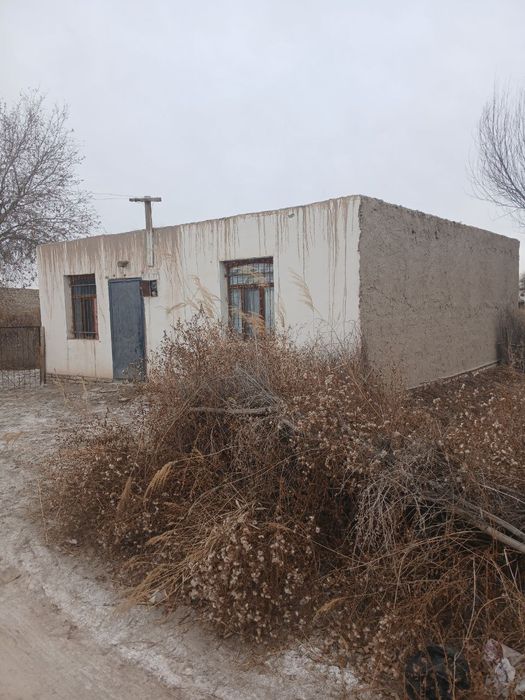 Dacha dokumentlari bor