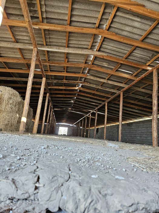 Молхона, уй кадастр бор