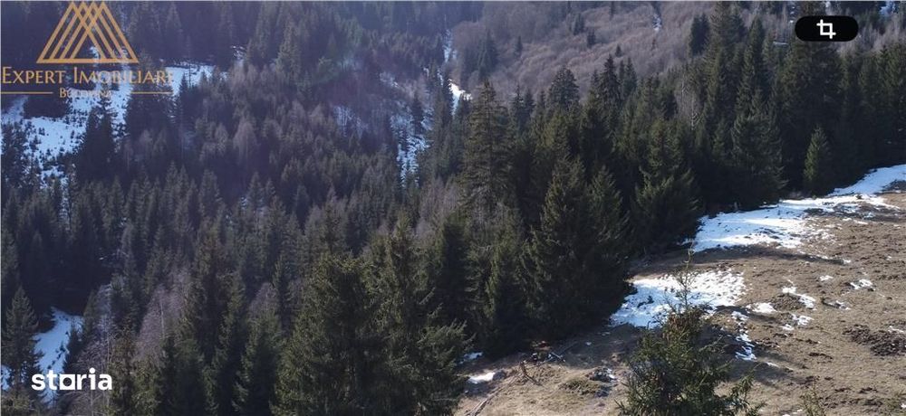 Teren 4.1ha cu izvor pe el debit 5lsec - Vedere 5