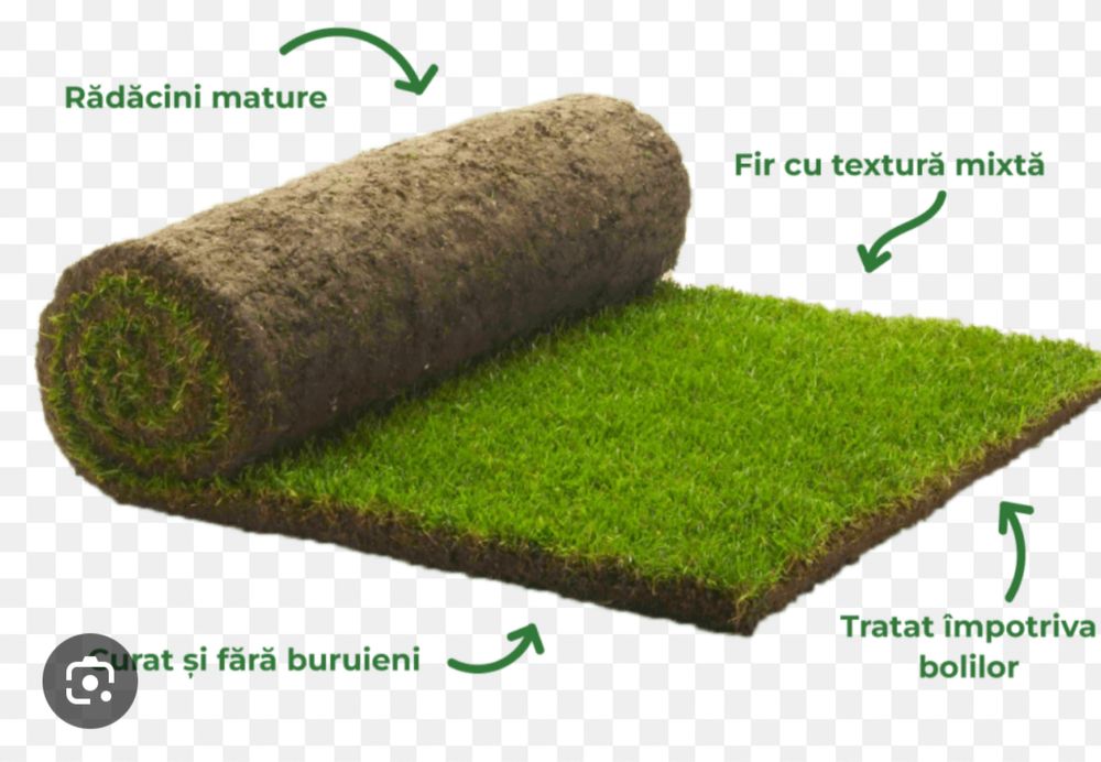 Gazon rulou 20 lei mp