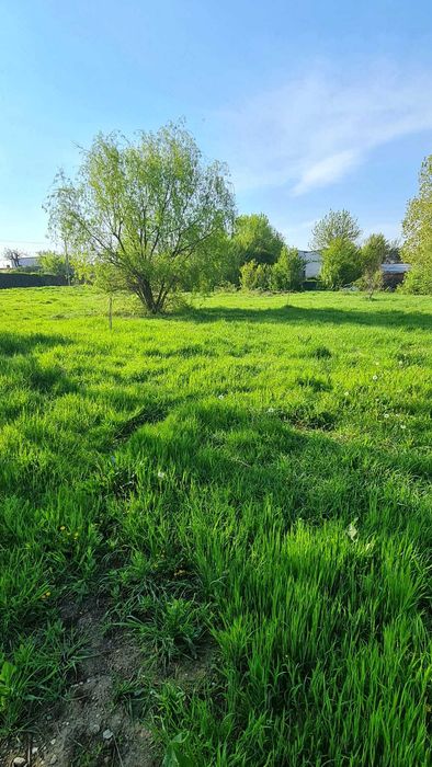Teren intravilan 3250mp vedere la Lacul Colentina  oportunitate rara