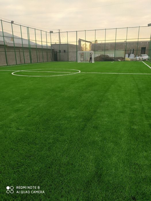 Газон ва чим газон девор