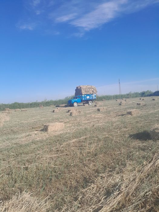 Piress sotiladi narxini kelishtiramiz