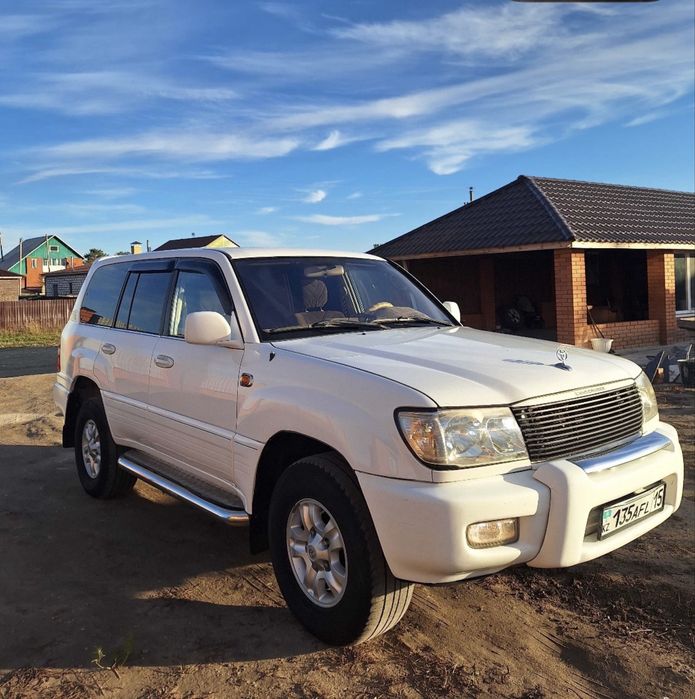 Продам живой крузак 100