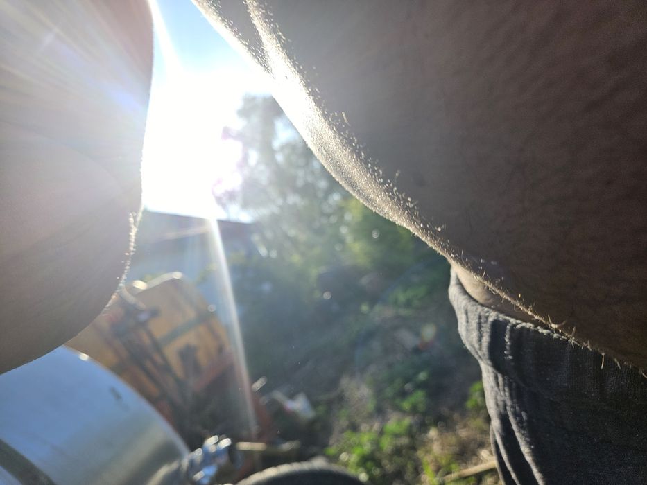 Tank de lapte trifazat