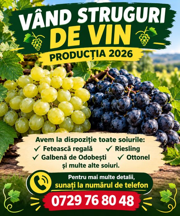 Vand struguri de vin