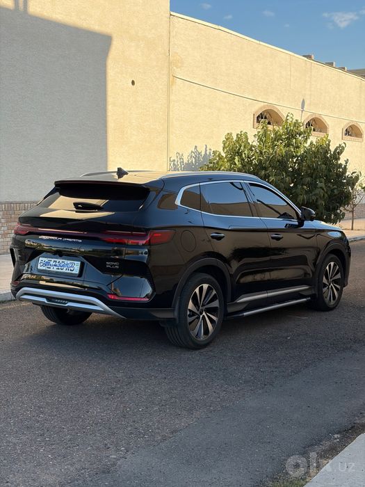 Byd chempion GIBRID 110 tali