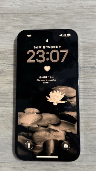 Iphone 13 pro max / 1tb