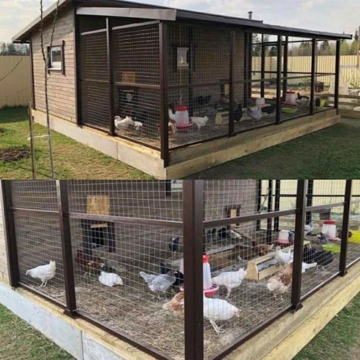 Курятник с выгулом