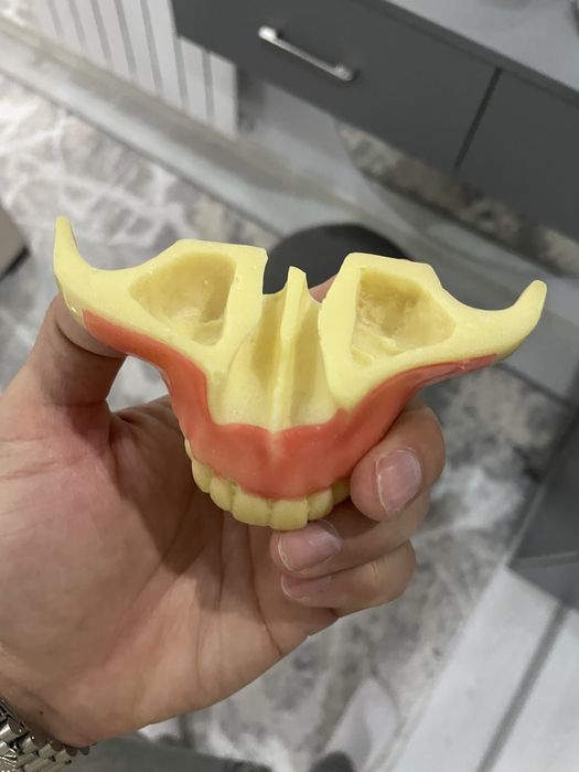 Модель зубов для стоматологов