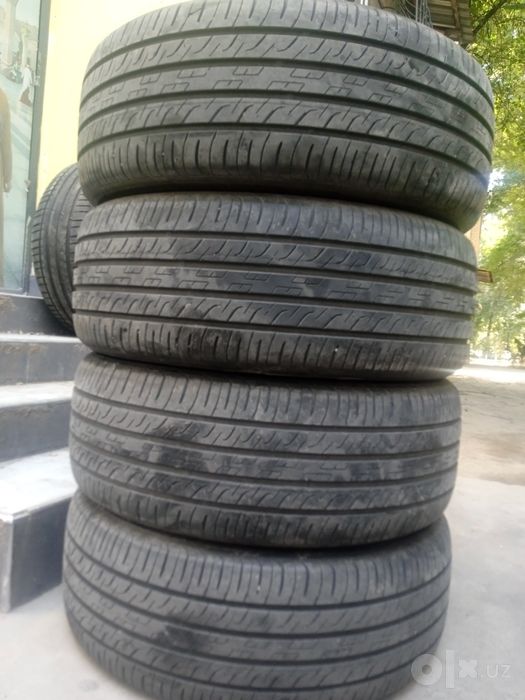Byd song pilus baloni