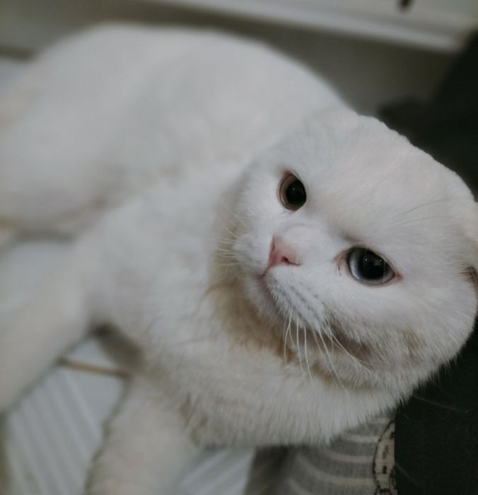 Смотришь фолд 07