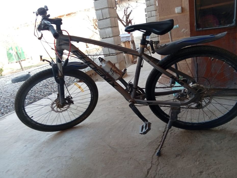 велоспиппед сатылады