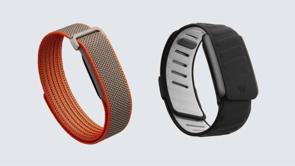 Google Fitbit Air