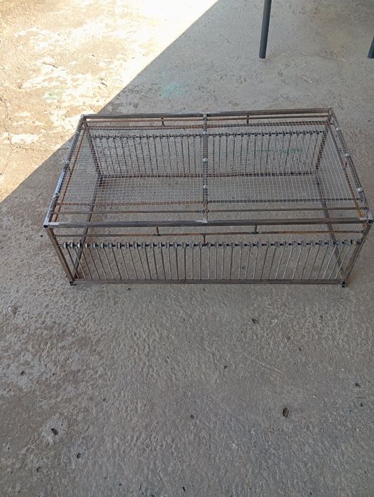 Птицы Голуб клетки