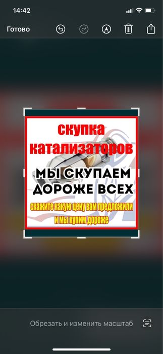 Приму отроботоные катализаторы,дизельные катализаторы сажевые фильтра,