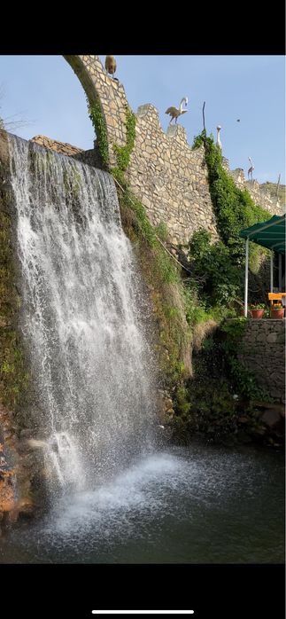 Экскурсия по Узбекистану на Cobalt!