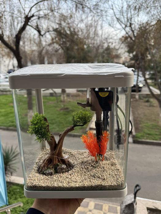 Mini xitoy Akvarium