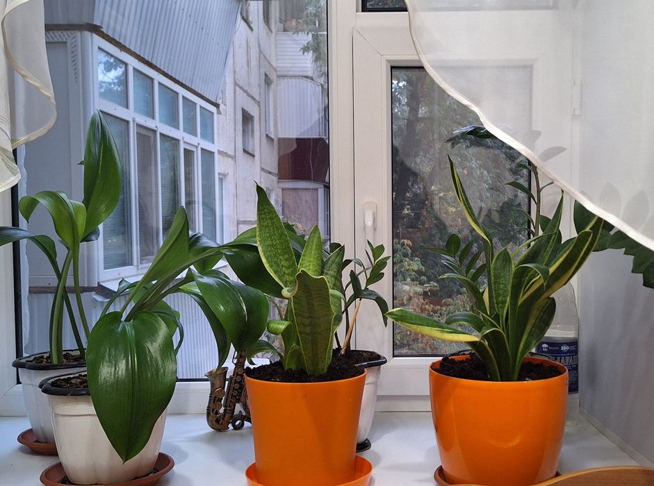 Продам  3-к квартиру в Зигзагее