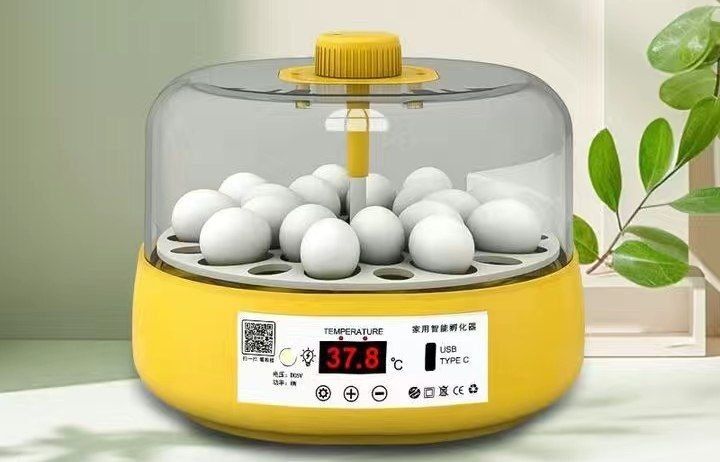 Mini inkubator sotiladi