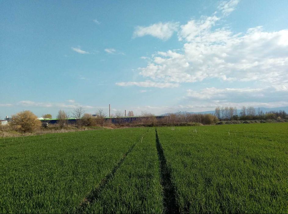 Продава се Земеделски имот в Пловдив, Каменица 1 -  кв.м за 28572 €/дка - Снимка #5