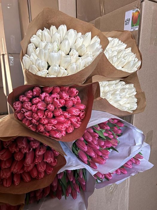 Продаем тюльпаны на 8 марта