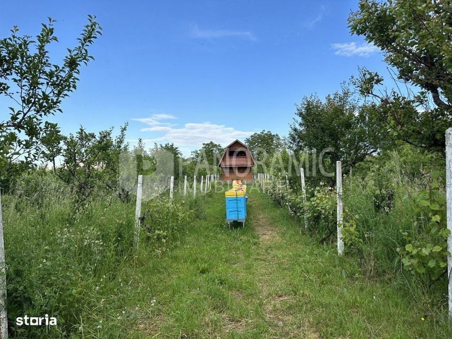 Cabana De Vanzare, Ardud-Vii