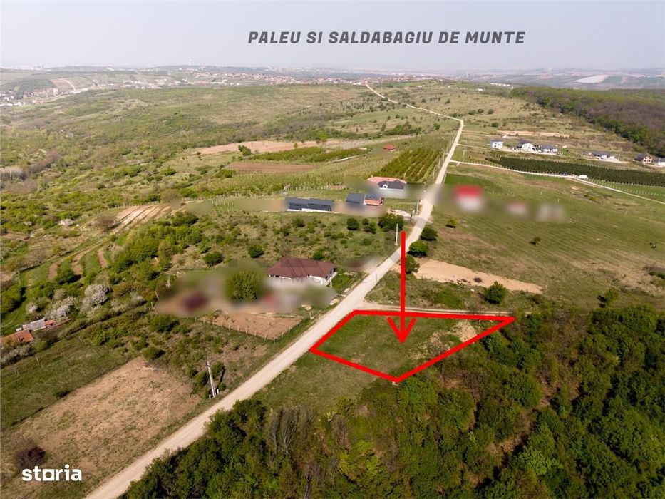 RECO Teren intravilan, dublu front, Saldabagiu de Munte