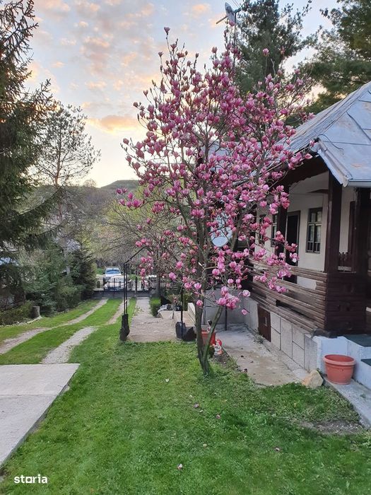 Casa vacanta, locuinta permanenta sau afacere agro-turistica!
