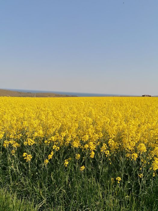 Парцел 2428 м2, на границата със селото, гледка море, Камчия