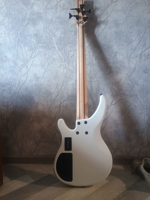 Yamaha trbx 305, peavey max 100