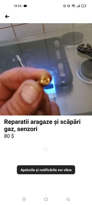 Reparatii aragaze, cuptoare, plite pe gaz Suceava la dom