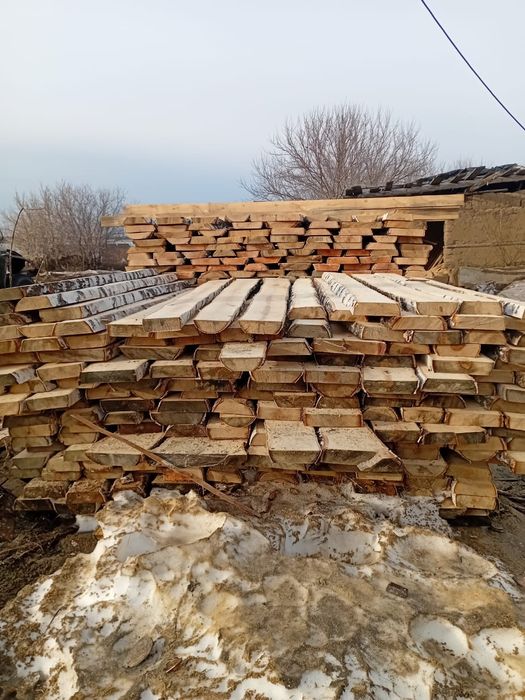 Кругляк березы (любых размеров)