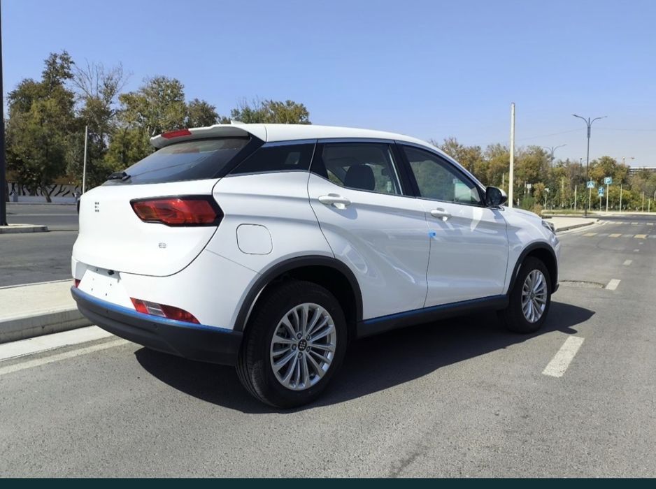 Dongfeng Lan Dian BOSHLANG'ICH NARXI 1000$