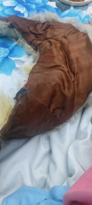 Gulere de vulpe poara argintie si o caciula