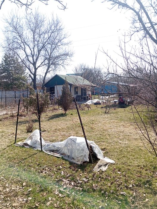 Продам  Дачу в Талгарских дачах