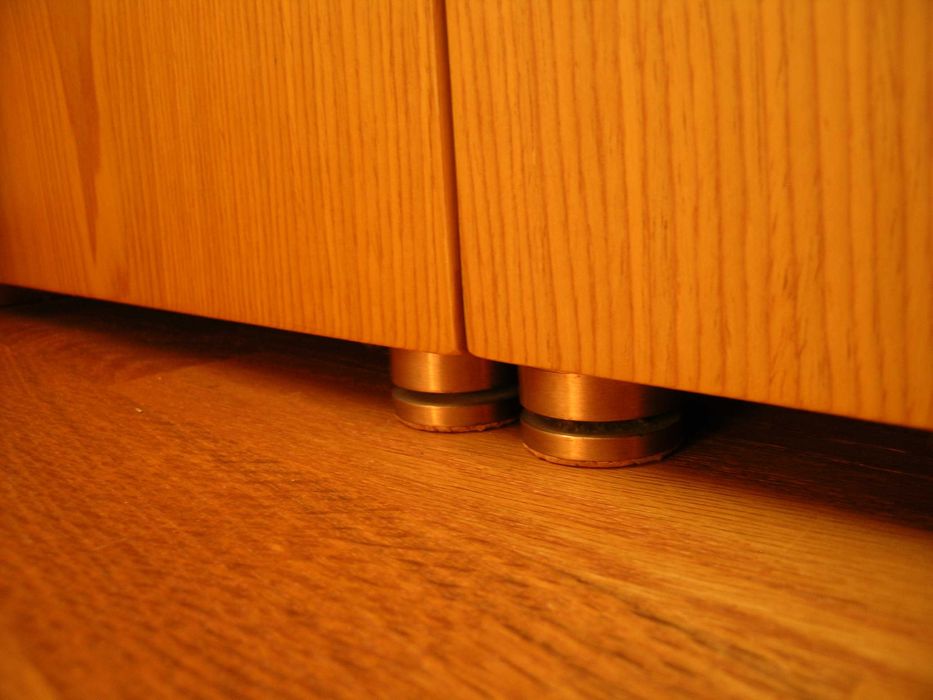 Хорни с FOSTEX FE206En