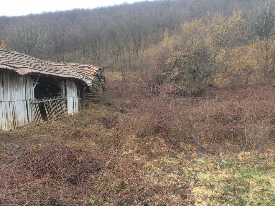 Продава се Земеделски имот в Видин, Баба Тонка -  кв.м за 1360 €/дка - Снимка #5